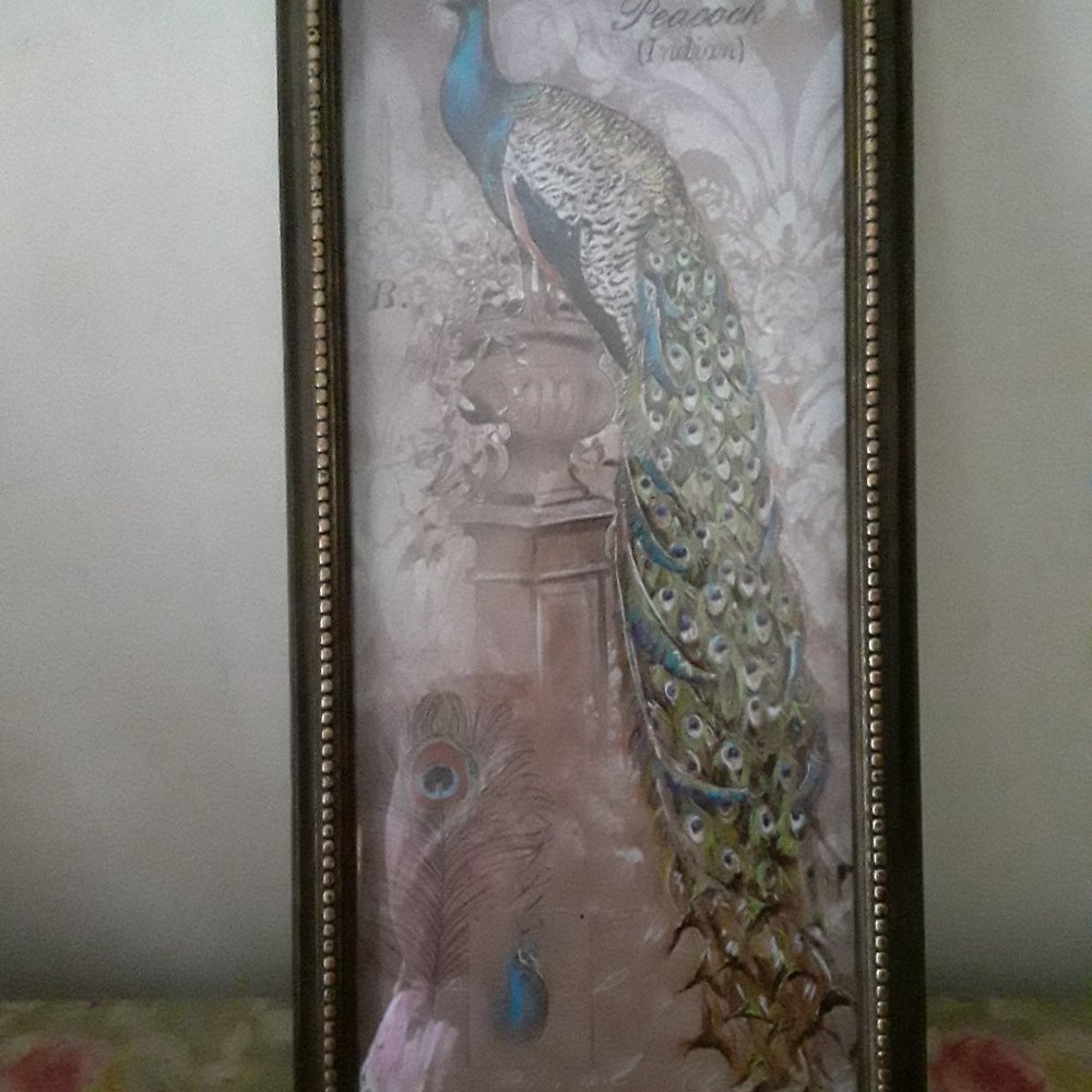 Chad Barrett Art Print of a Peacock